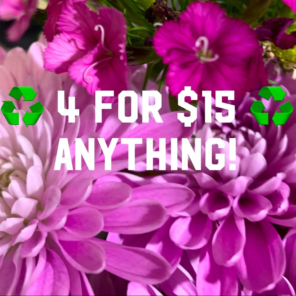 ANY 4 for $15 deal!!